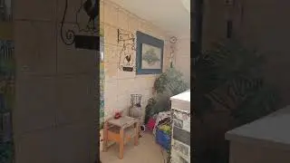 Улица Хативат Эциони в Кармиэле(окраина района Рамат Рабин)