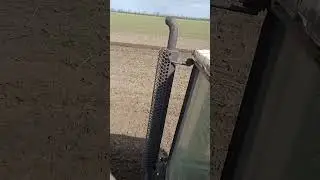 поздняя пахота по подсолнуху юмз