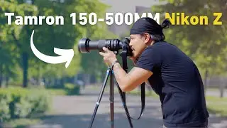 Tamron 150-500mm for Nikon Z Review