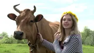 Как начать  заниматься животноводством?
