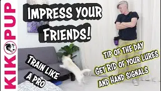 Dog Training Tip to GET RID of the treat