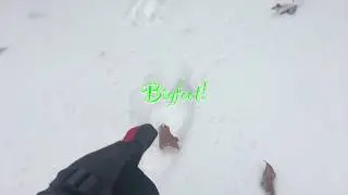 How to have fun in the snow
