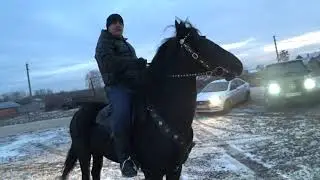 Седло на Карачаевского жеребца.