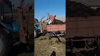 Погрузка навоза самодельным куном.