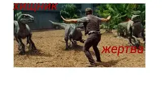 Путин и Зеленский в фазе 