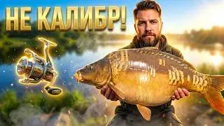 How to farm on Mednoye on a budget? Testing cheap 6000 reels | Russian Fishing 4