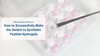 How to successfully make the switch to synthetic peptide hydrogels