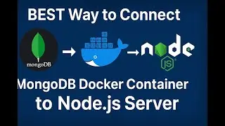 BEST Way to Connect MongoDB Docker Container to Node.js Server