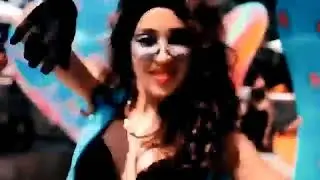 Close - Cão de raça
