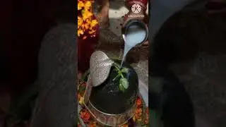 जिस गांव के मन्दिर में मोहल्ले के मंदिर में पूजा नही होती ...? #shortsviedo #facts # viral #shiv