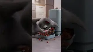 Thank you for 1 MILLION GIMME SNACK 
