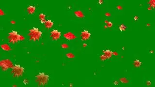 Autumn Leaves Falling Copyright Free Green Screen/Croma Key