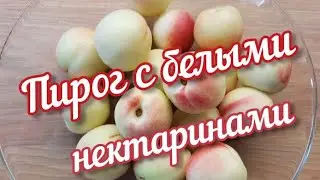 Мой рецепт пирога с белыми узбекскими нектаринами 