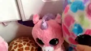 Mia's  Beanie boo collection