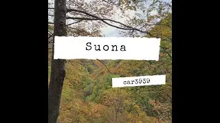 Suona