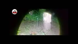🌕 MENELUSURI MAKAM LELUHUR JERO WANGI BEDONO#youtube#youtuber