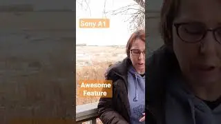 #sonya1