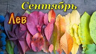 Лев _ Сентябрь 2021 _  Таро прогноз на месяц