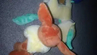 Eevee's problem!