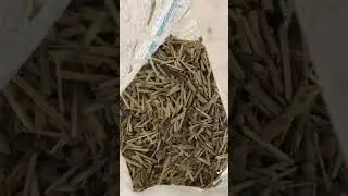 #paddy #rice #ricemill #ricemachine Paddy Cleaner | Paddy Sieve | Çeltik Eleği | Ön Temizleme