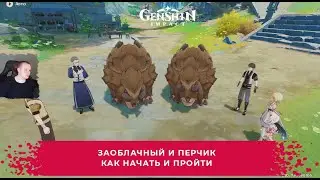 Геншин Импакт ➤ Заоблачный и Перчик ➤ Как начать и пройти ➤ Прохождение игры Genshin Impact