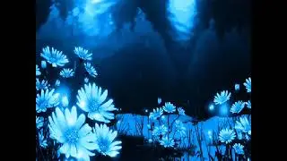 MiX^İbrahim ERKAL - vur dibine^MiX