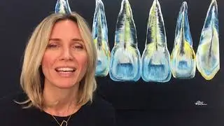 Myth: Fluoride is bad for my health