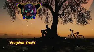 Chrisye~Pergilah Kasih Cover (Mario Klau)