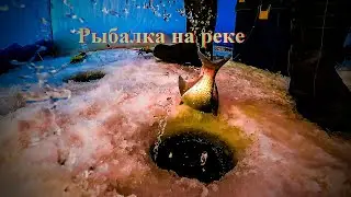 Рыбалка на леща на реке //Fishing on the river