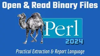 Learn Perl Programming In 2024: Open & Read Binary Files