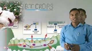 #BT Crops #BT Cotton #Biotechnology and its principles#NEET Biology