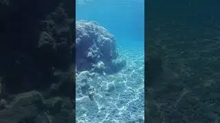 2. Dişlice Adası Su Altı Güzellileri.  Yer: Marmaris