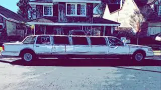 Smog Test Chronicles: Part 2 - Pantera Limo Update #3336