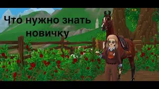 Что лучше знать и делать новичку в игре II Star Stable Online