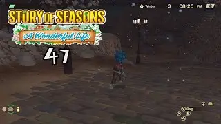 Let's Play Story of Seasons: A Wonderful Life #47: Another Winter