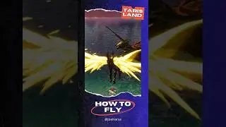 MMORPG Tarisland Guide to Fly