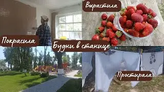 How to remove stains from clothes / General cleaning in the dressing room / Strawberries have beg...