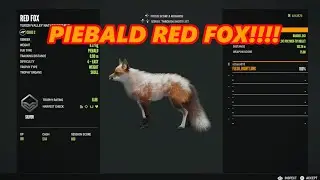 TheHunter: COTW PS5 Diamond and rare highlights #39