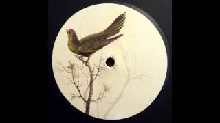 Roger Gerressen - Put That Record On