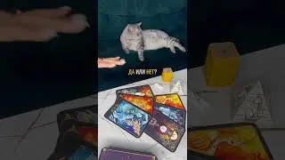 ДА ИЛИ НЕТ? ‼️таро расклад