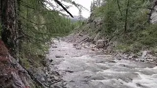 Арлык Гол 2021.