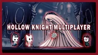 Flower 112% Bug Flex: Hollow Knight Multiplayer