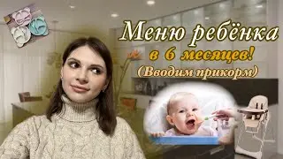 МЕНЮ РЕБЁНКА В 6 МЕСЯЦЕВ 🥣 | Что мы едим в течении дня?!🥦