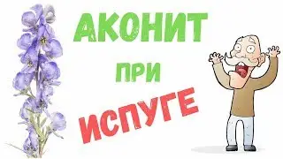 Растение Аконит (Борец) при испуге и других проблемах, польза и вред, как приготовить.