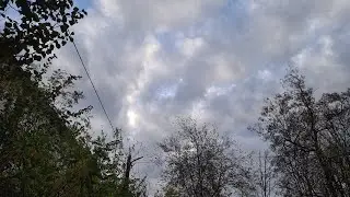 Запорожье 10. 11. 2023 ЗАЧЕМ ТАКОЙ ЗАКОН СЕЙЧАС 🤔