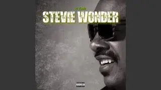 Stevie Wonder
