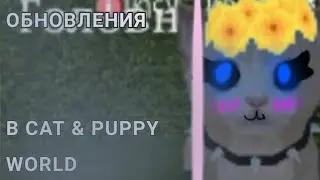 3 ИДЕИ ДЛЯ ОБНОВЛЕНИЯ В CAT & PUPPY WORLD (чит опис)