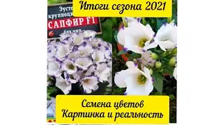 Семена цветов. Картинка и реальность🌺🌺🌺 Итоги сезона 2021