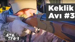 Keklik Avı Ata Team 3. Bölüm Yaban Tv Partridge Hunting