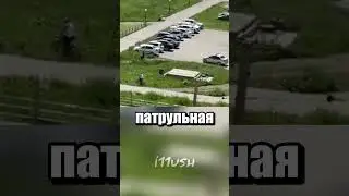 Car or scooter?